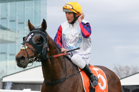 Delphi is a Caulfield Cup contender.
