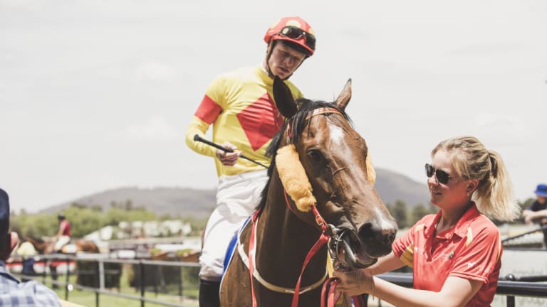Duck broken: Reign Over Me scored for the first time at Canberra last month and will look to go on with the job on Tuesday.