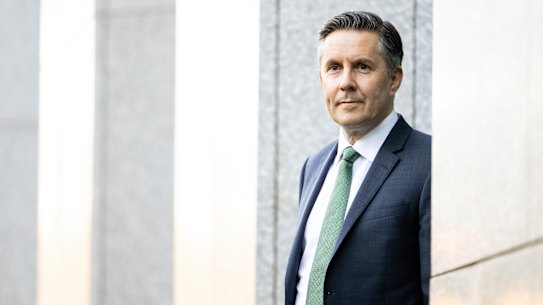 Health Minister Mark Butler wants to reign in cosmetic cowboys.