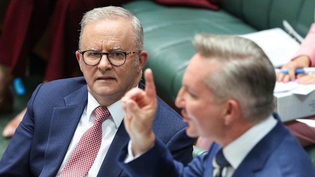 Prime Minister Anthony Albanese and Energy Minister Chris Bowen in parliament on Thursday.