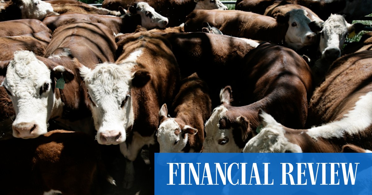 Australian Meat Group leaves door open to bidders after $196m Killara deal