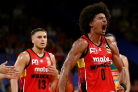 The Perth Wildcats could be sold.