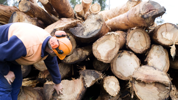 Andrews government’s forestry bill puts logging over liberties