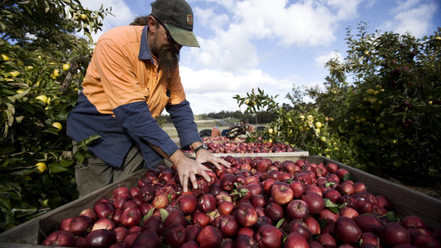 The challenge for a Labor federal government is to support expansive labour migration in a way that does not produce a race to the bottom in labour standards.