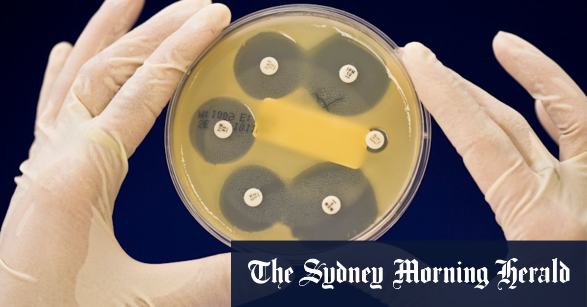 ‘A bomb thrown into the middle of science’: Trump cuts hurt Australian ...
