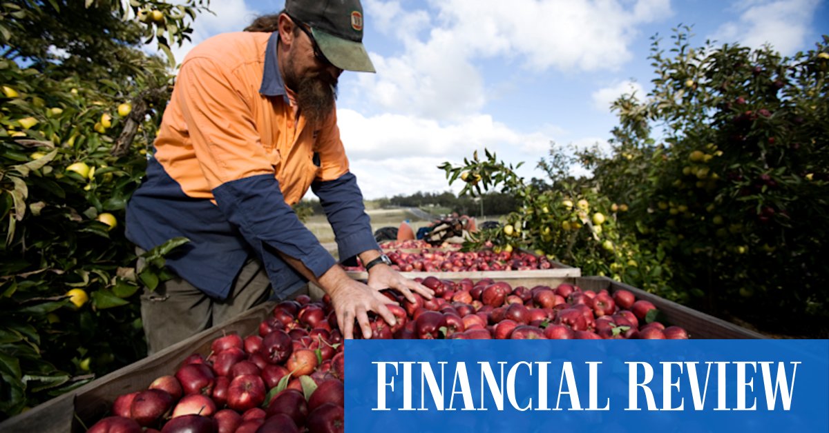 The heavens open for a record $66b in farm production - Vimarsana News