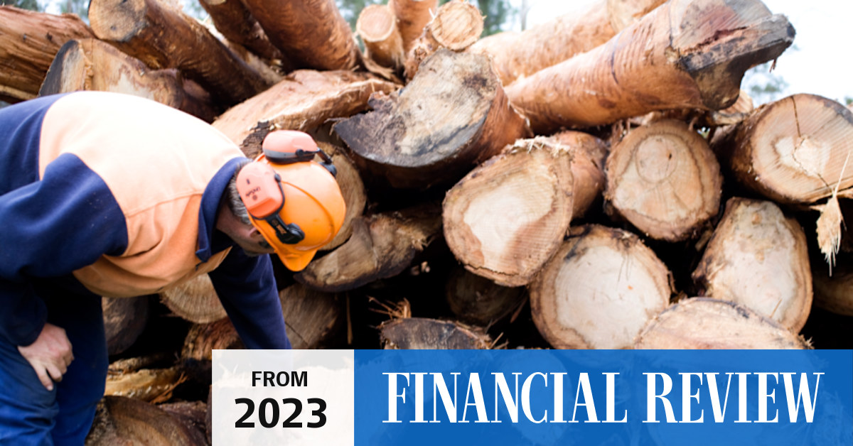 Timber recycler Altus Renewables goes bust, Mitsui appoints receivers