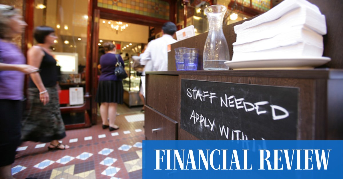 Matt Kean: Jobs summit should consider NSW Treasurer's low-skilled visa call say top employment lawyers - Vimarsana News