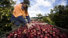 Ramping up the minimum salary allowed for visa holders to $90,000 would gut the temporary skilled visa program.
