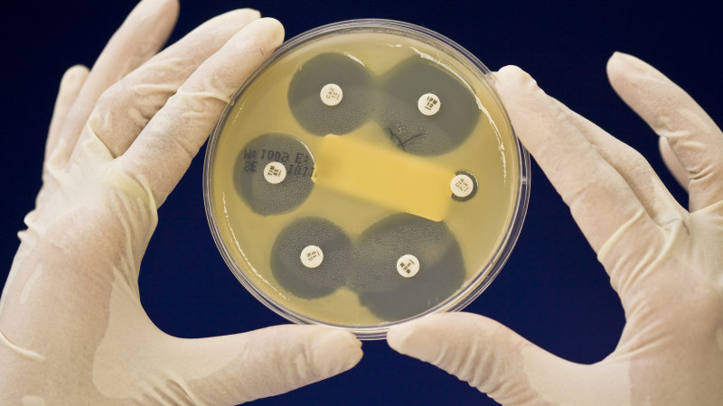 Billions going unspent from Australia’s $24b medical research fund