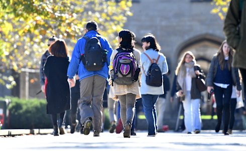 Risks in too much business input in university degrees