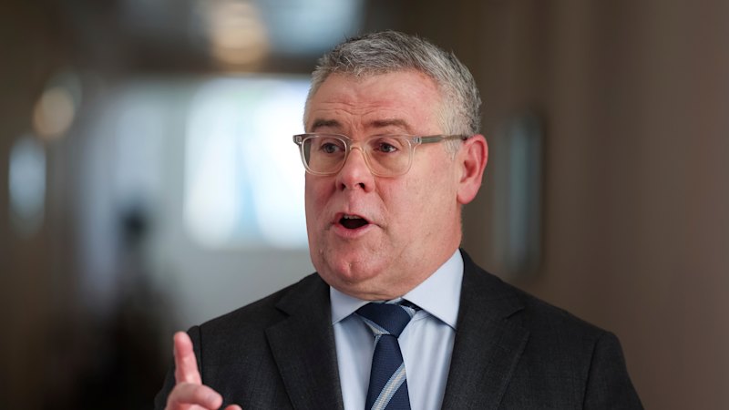 We can’t do it all at once, Watt says to critics on deforestation