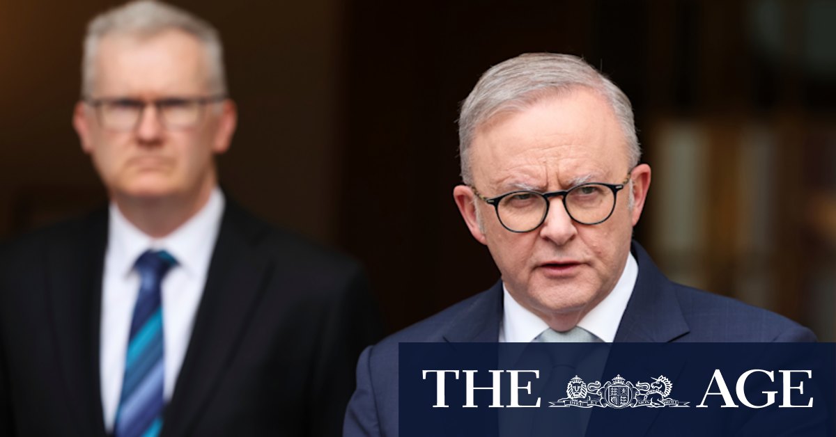 Albanese won’t say how long Nauru will collect $70m a year to rehome deportees