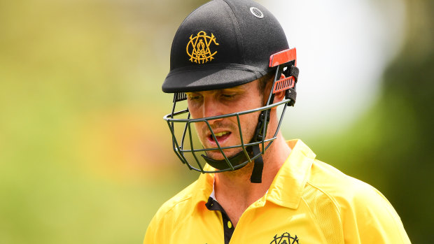 ‘Best of care’: Mitch Marsh hospitalised in India with COVID-19