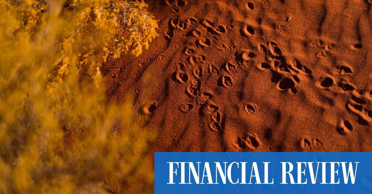 Lithium explorer Red Dirt Metals in $50m placement - Vimarsana News