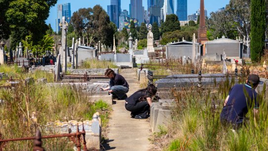A community planting day at Melbourne General Cemetery