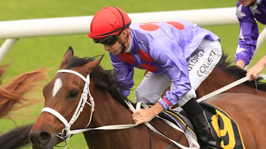 Oscar Zulu is looking to set  a new BOBS bonus record at Randwick on Saturday.