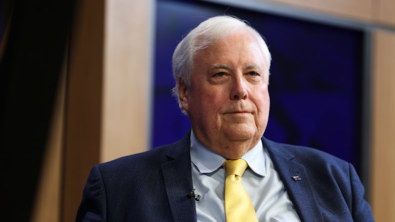 Court Says Palmer Not a Foreign Investor and Must Pay $13m