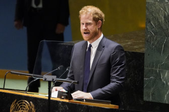 Prince Harry addressing the UN General Assembly.