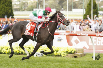 A Nod Is Not Quite As Good As A Winx To A Japanese Horse