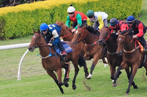 Tommy Berry wins a trial on Coolangatta at Randwick on December 7.
