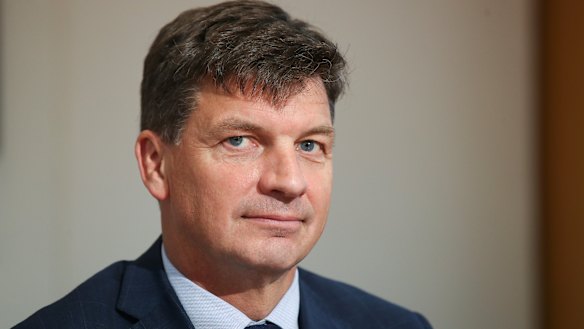 Angus Taylor is facing a challenge from grassroots groups.
