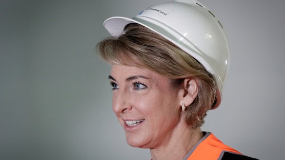 Minister for Jobs and Innovation Michaelia Cash