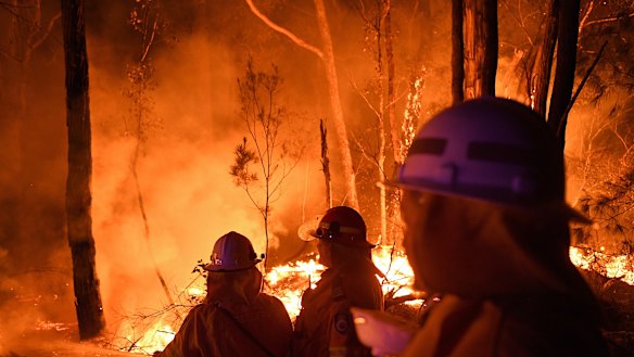 Volunteers work through the night  to prevent a flare-up from crossing the Kings Highway between Nelligen and Batemans Bay  in early January.