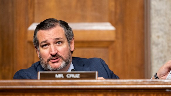 Not a substitute for Trump: US Senator Ted Cruz.