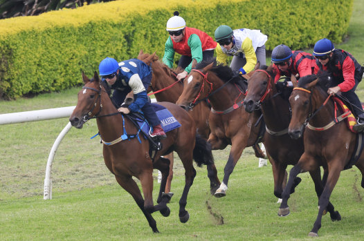 Tommy Berry wins a trial on Coolangatta at Randwick on December 7.