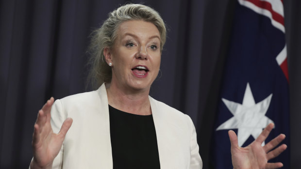 Nationals deputy leader Bridget McKenzie says an audit into her sports grants program found no rules were broken.