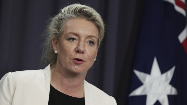 Nationals deputy leader Bridget McKenzie officially approved a grant for a shooting club just four days after becoming a member.