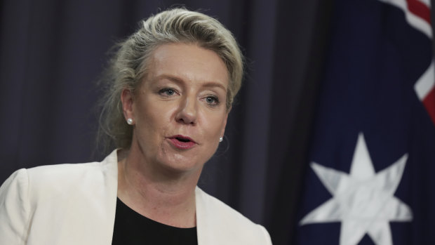 Nationals deputy leader Bridget McKenzie.