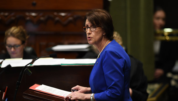 Leslie Williams speaks during amendments to the introduction to the Reproductive Healthcare Reform Bill 2019.