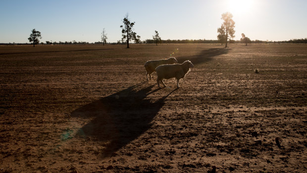 The ongoing drought across inland Australia suggests heatwaves and bushfires could be prominent features of this coming summer.