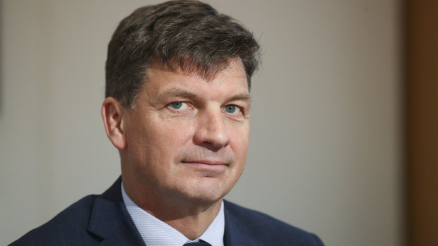 Angus Taylor is facing a challenge from grassroots groups.