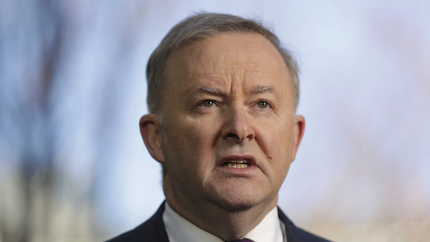 Opposition Leader Anthony Albanese has made economic growth a key feature of his initial pitch to voters.