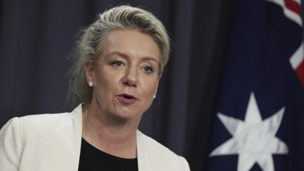 Senator Bridget McKenzie breached the most basic standards.