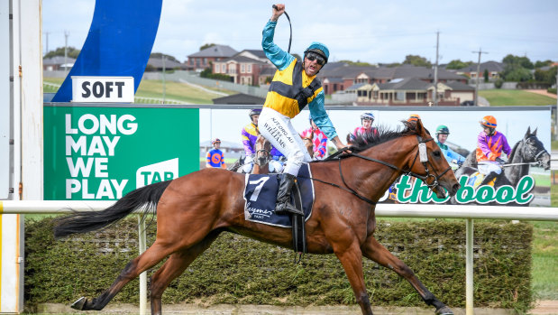 Count Zero ridden by Luke Williams wins the Jericho Cup at Warrnambool Racecourse on Sunday. 