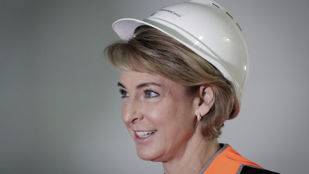 Minister for Jobs and Innovation Michaelia Cash