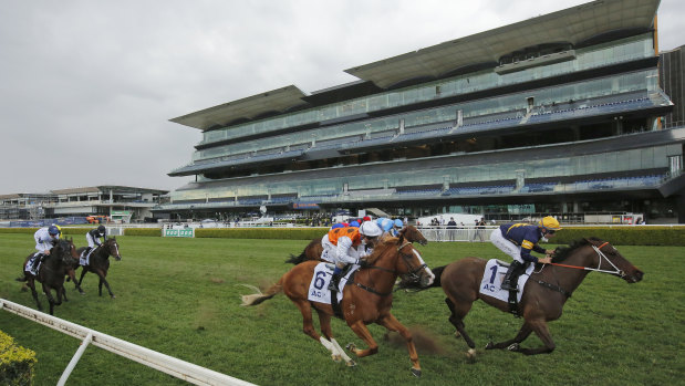 Masked Crusader (right) gets past a gallant Standout to win the Premiere Stakes.