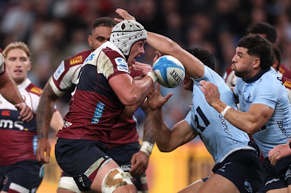 Josh Canham in action for the Queensland Reds.