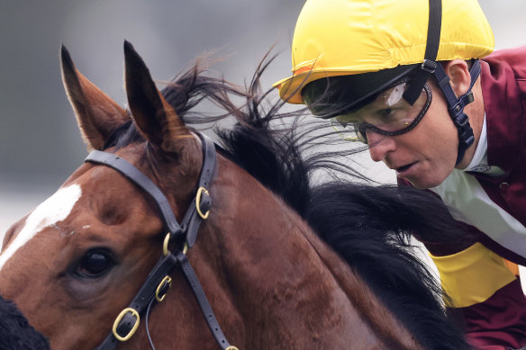 Kerrin McEvoy is focused on returning to the winner’s circle at Rosehill on Saturday.