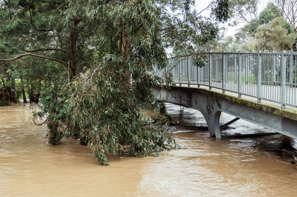 Parts of the state are facing more floods following heavy rain this year. Traralgon Creek burst its banks in June. 