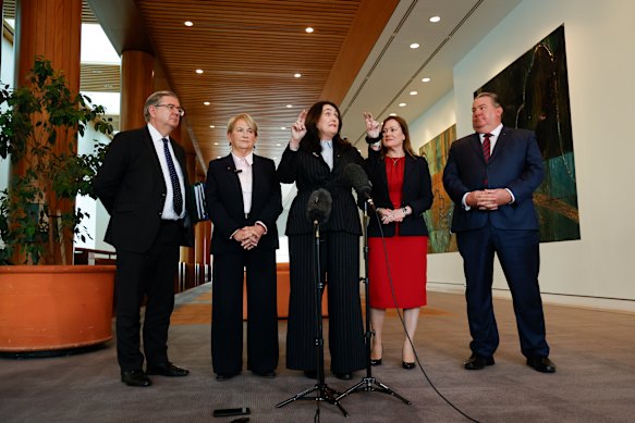 Paul Scarr, Barbara Pocock, Deborah O’Neill, Tania Lawrence and Scott Buchholz address the media at Parliament House after the June 19 public hearing.