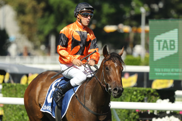 Sunshine In Paris after taking out the Surround Stakes at Randwick in February.