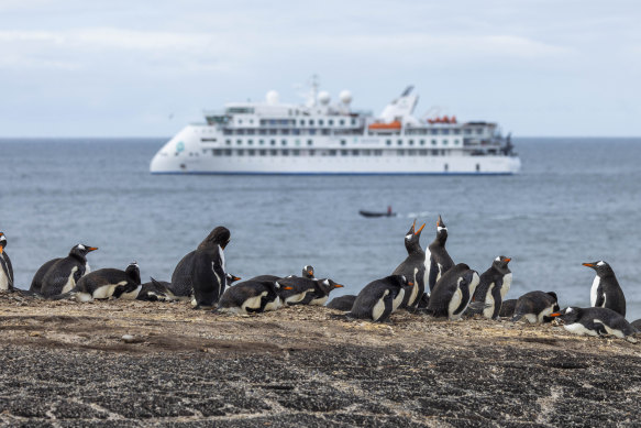 Aurora’s ship the Greg Mortimer at the Falkland Islands.
