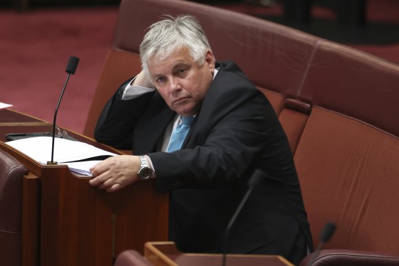 An amendement by Independent Senator Rex Patrick, attached to the Coalition’s aged care package, would have delivered 24/7 registered nurse care. Instead, the bill died with the calling of the election.