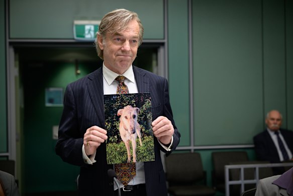 Hugo Weaving stars in The Great White as Alan, a down-on-his-luck barrister who is reduced to representing a dog.