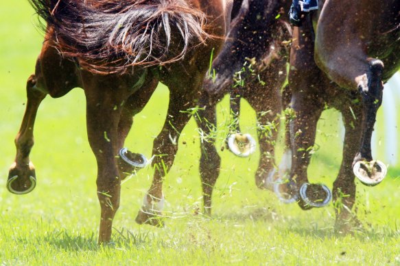 Kembla Grange hosts the feature NSW meeting today.